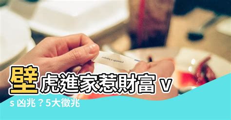 壁虎蛋風水|房間壁虎多？風水師解答